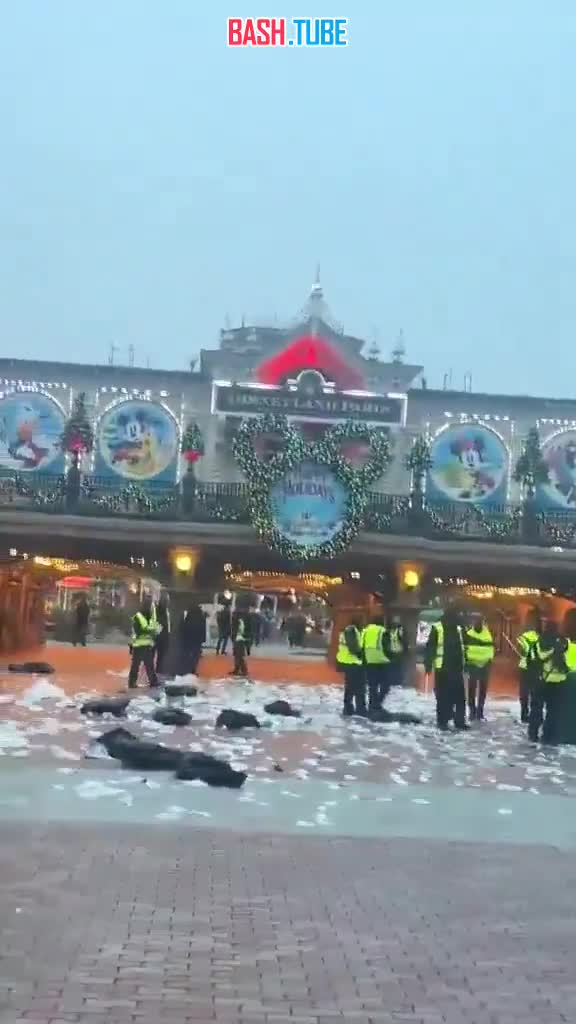  Диснейленд в Париже был завален мусором, после того как уборщики объявили забастовку из-за плохих условий труда
