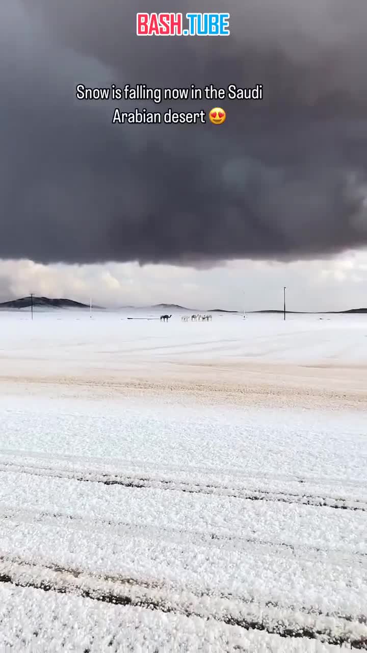  В Саудовской Аравии выпал снег