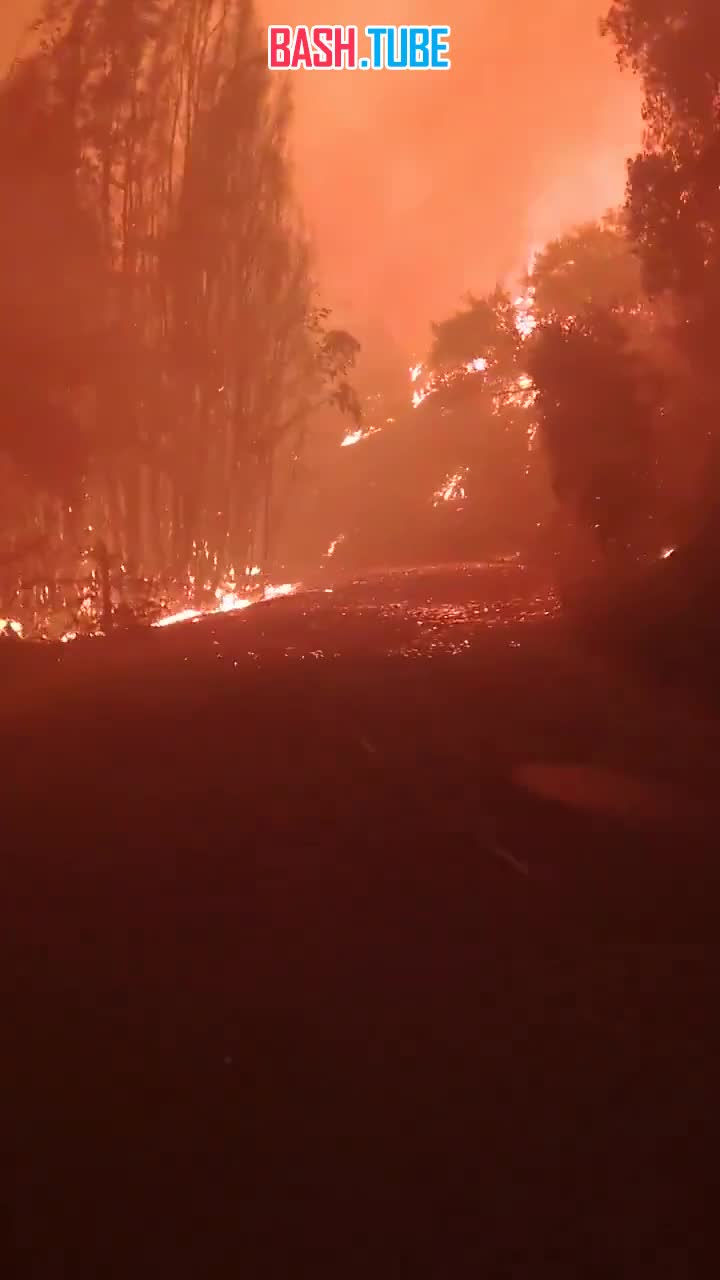  Лесной пожар произошёл в Сан-Педро, провинция Мелипилья, Чили