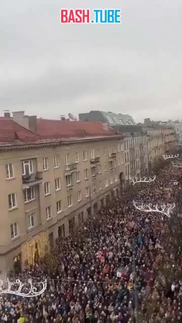  В Литве майдан - люди вышли на улицы против авторитарного стиля правительства и попыток властей цензурировать СМИ