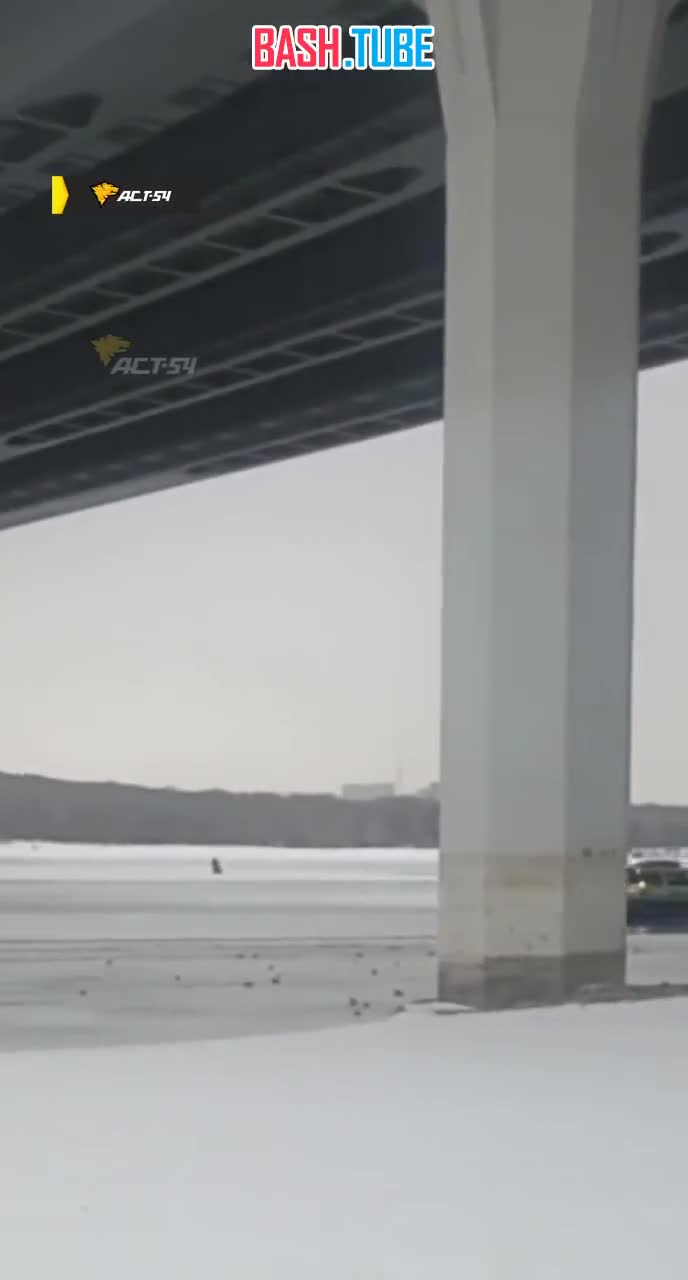  Аэролодка перевернулась на реке Обь в районе Бугринского моста