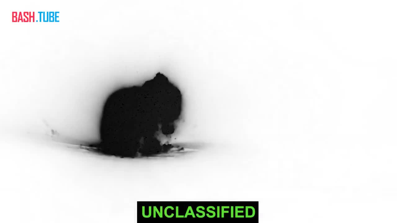  Западная коалиция во главе с США начала операцию «Удар ястреба» по ликвидацию ИГИЛ* в Сирии