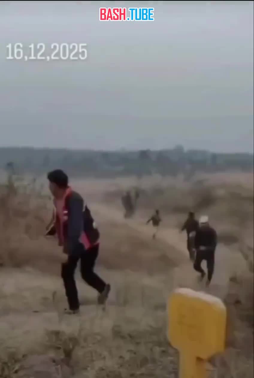  В Индии мужчины пытались сфотографировать диких слонов, но это обернулось трагедией