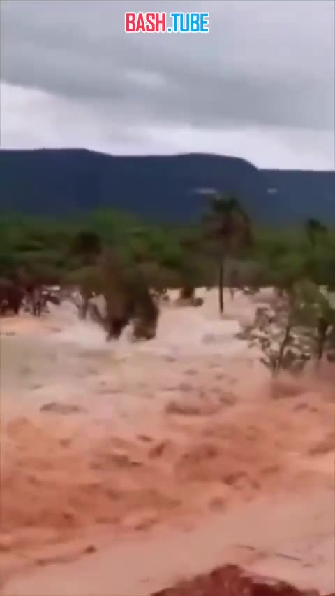  ️Паводковая обстановка в муниципалитете Понти-Алта-ду-Бон-Жезус в бразильском штате Токантинс