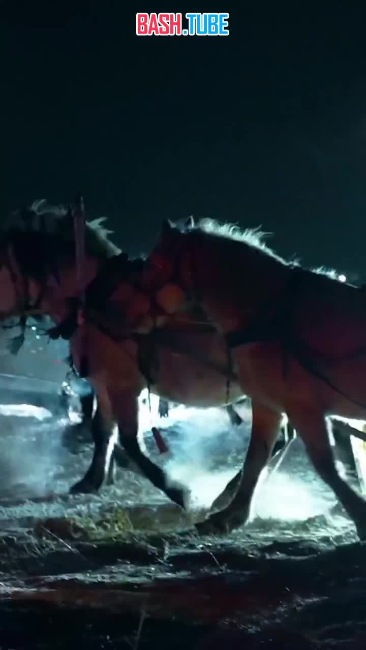  Самая яркая Автоелка России собрала более 500 автомобилей