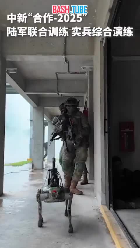  На видео совместные военные учения Китая и Сингапура в условиях городского боя