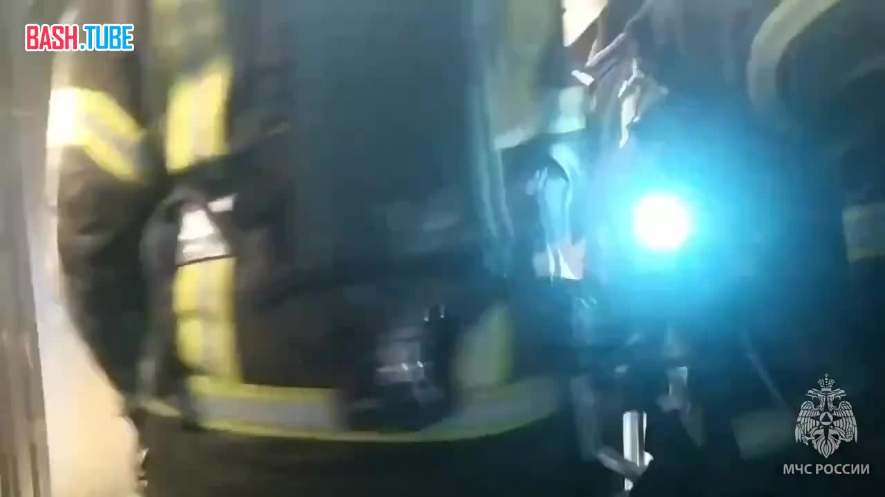  Салют в квартире закончился пожаром и реанимацией кота