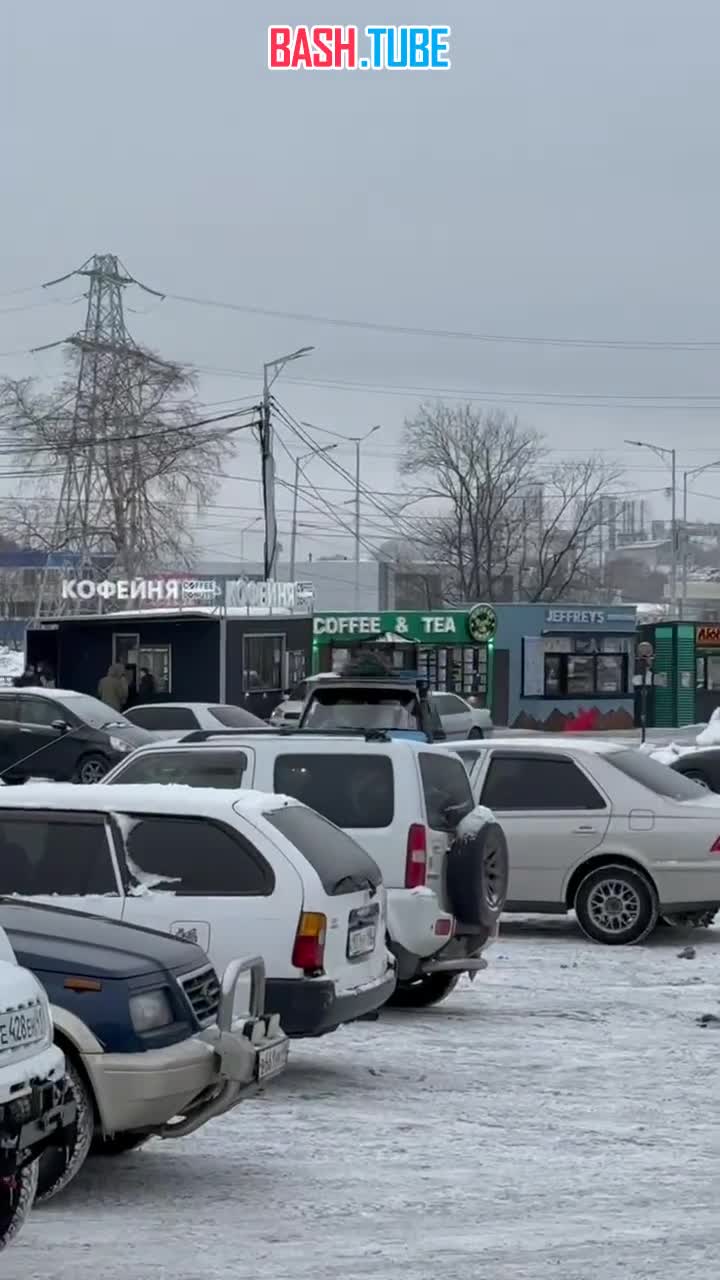  На Камчатке были замечены Гринч с Дедом Морозом