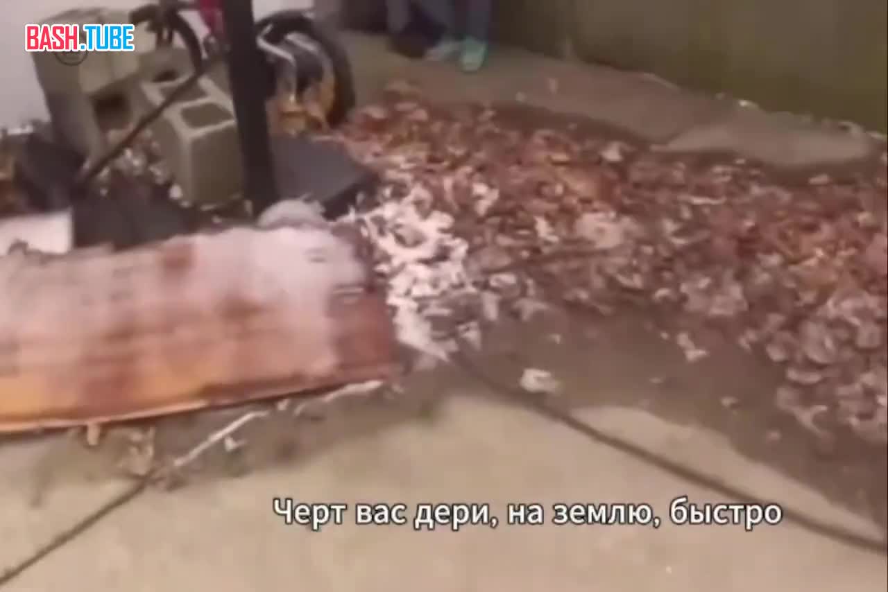  В Огайо трое мальчиков (8, 11 и 12 лет) угнали Kia Optima, используя инструкции с YouTube