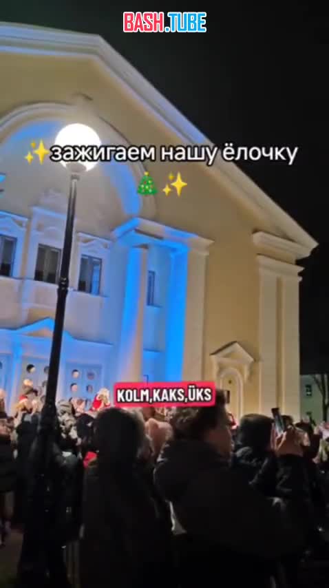  Ёлка в Эстонии отказывалась зажигать огни, пока её не попросили об этом на русском языке