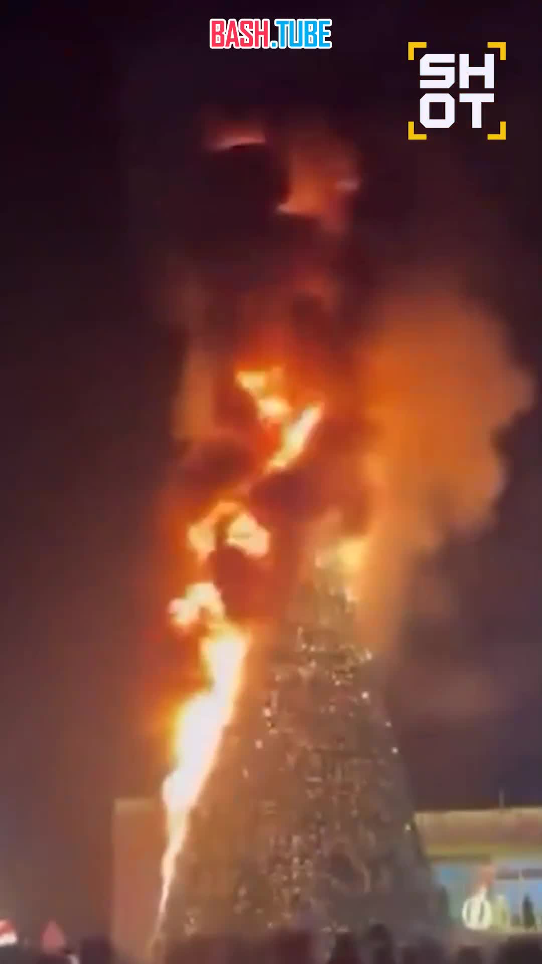  Главная новогодняя ёлка сгорела дотла в грузинском городе Гардабани