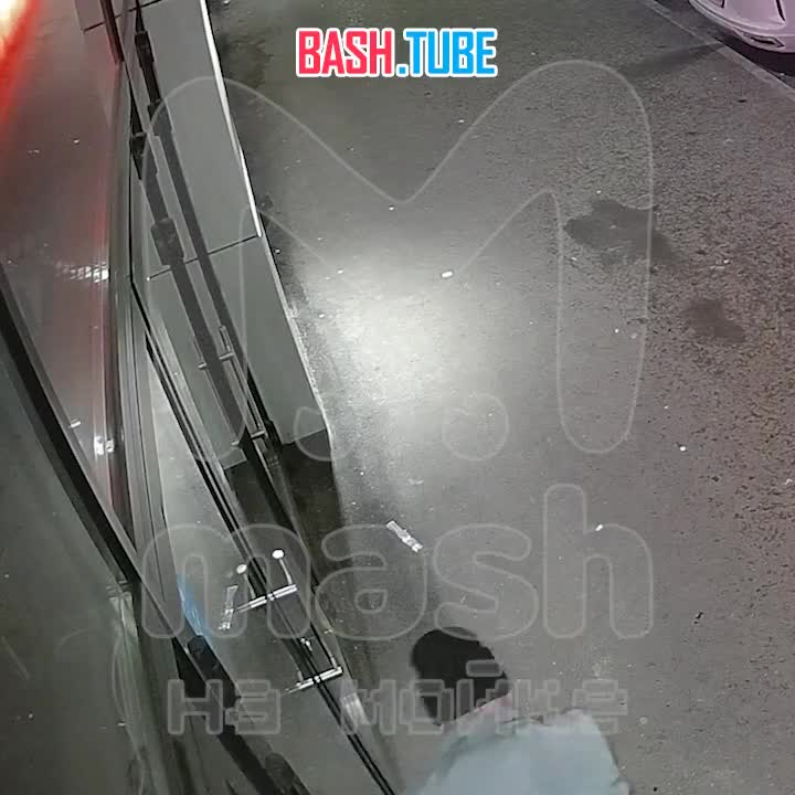  Зверское избиение у клуба «Москва» на Дунайском проспекте - охранники накинулись на пару друзей после словесной перепалки