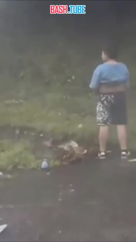  В Колумбии 10-летний мальчик остался жив благодаря тому, что захотел по нужде