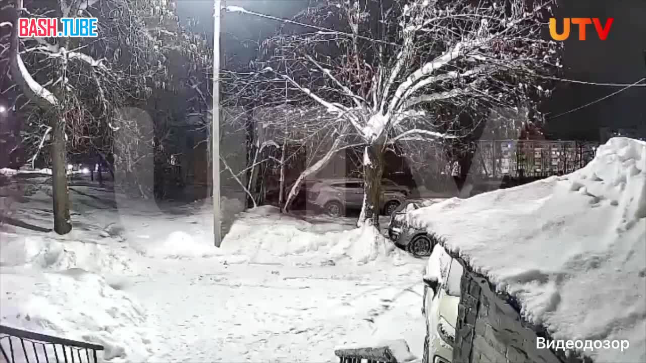  Домашняя собака напала на подростка в подъезде в Уфе
