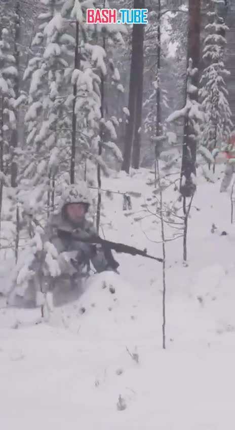  Финские пограничники у границы с Россией готовятся к возможной войне, - CNN