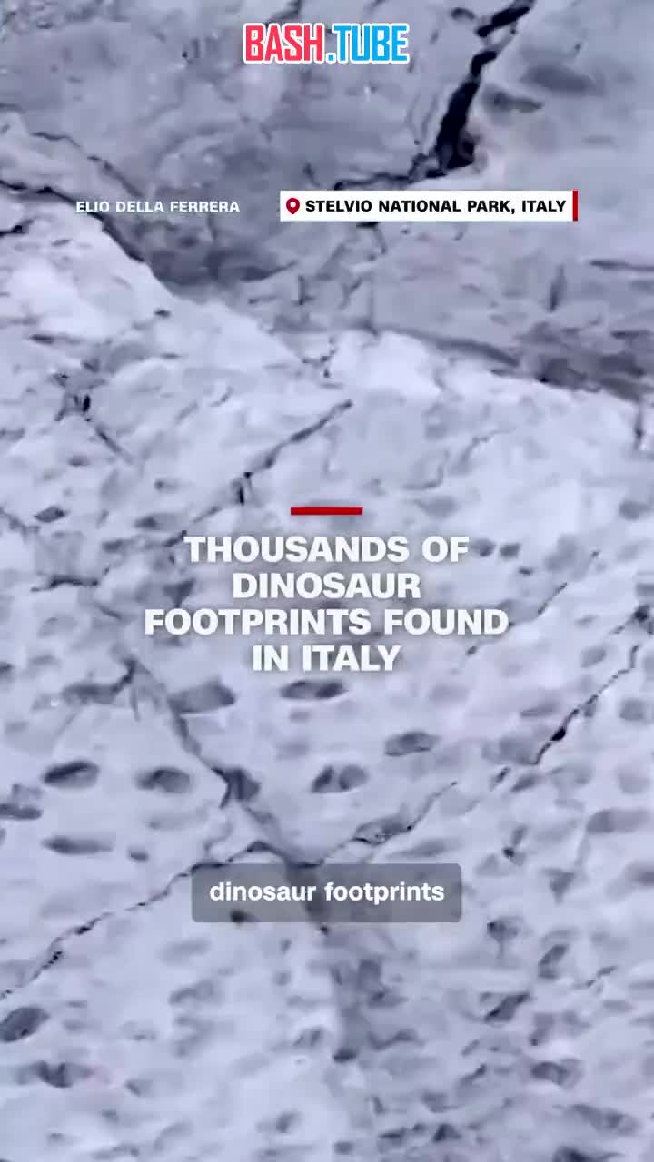  В Италии в горном разломе обнаружили тысячи следов динозавров