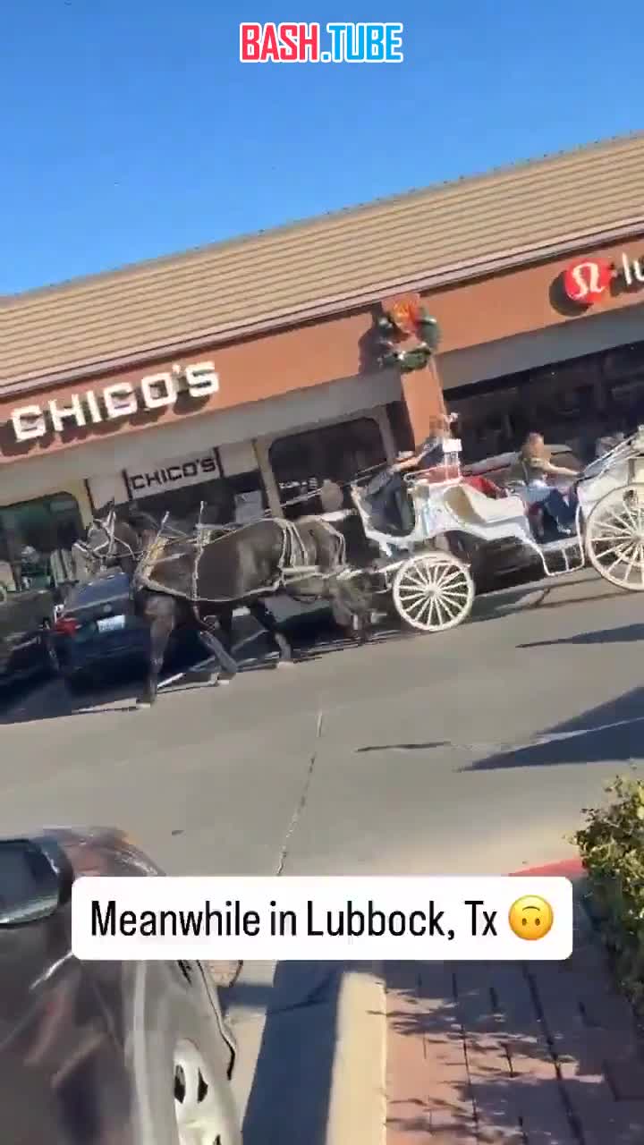  Необычная авария произошла в Техасе, США