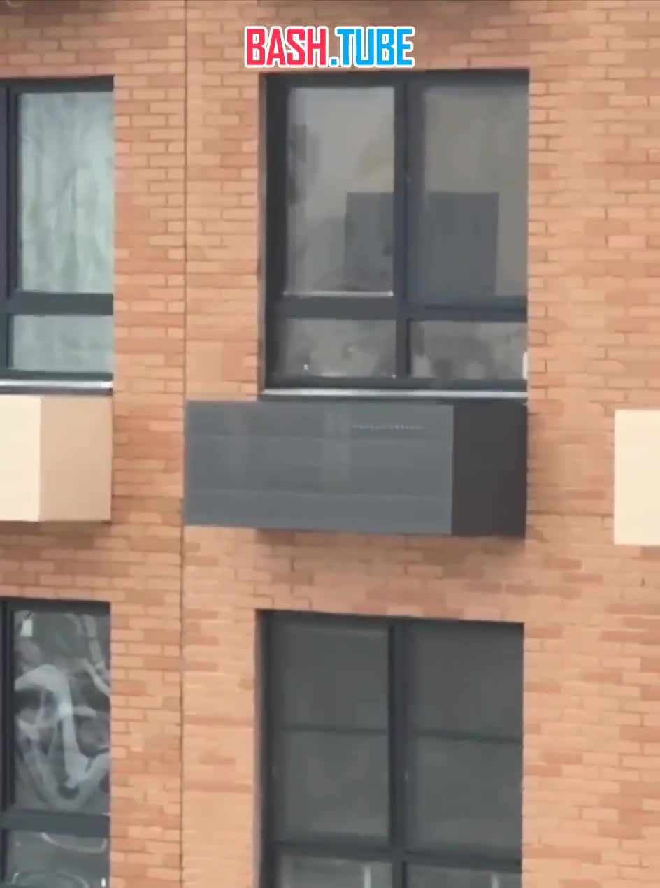  В Красногорске житель спас лису от убоя и поселил у себя в квартире