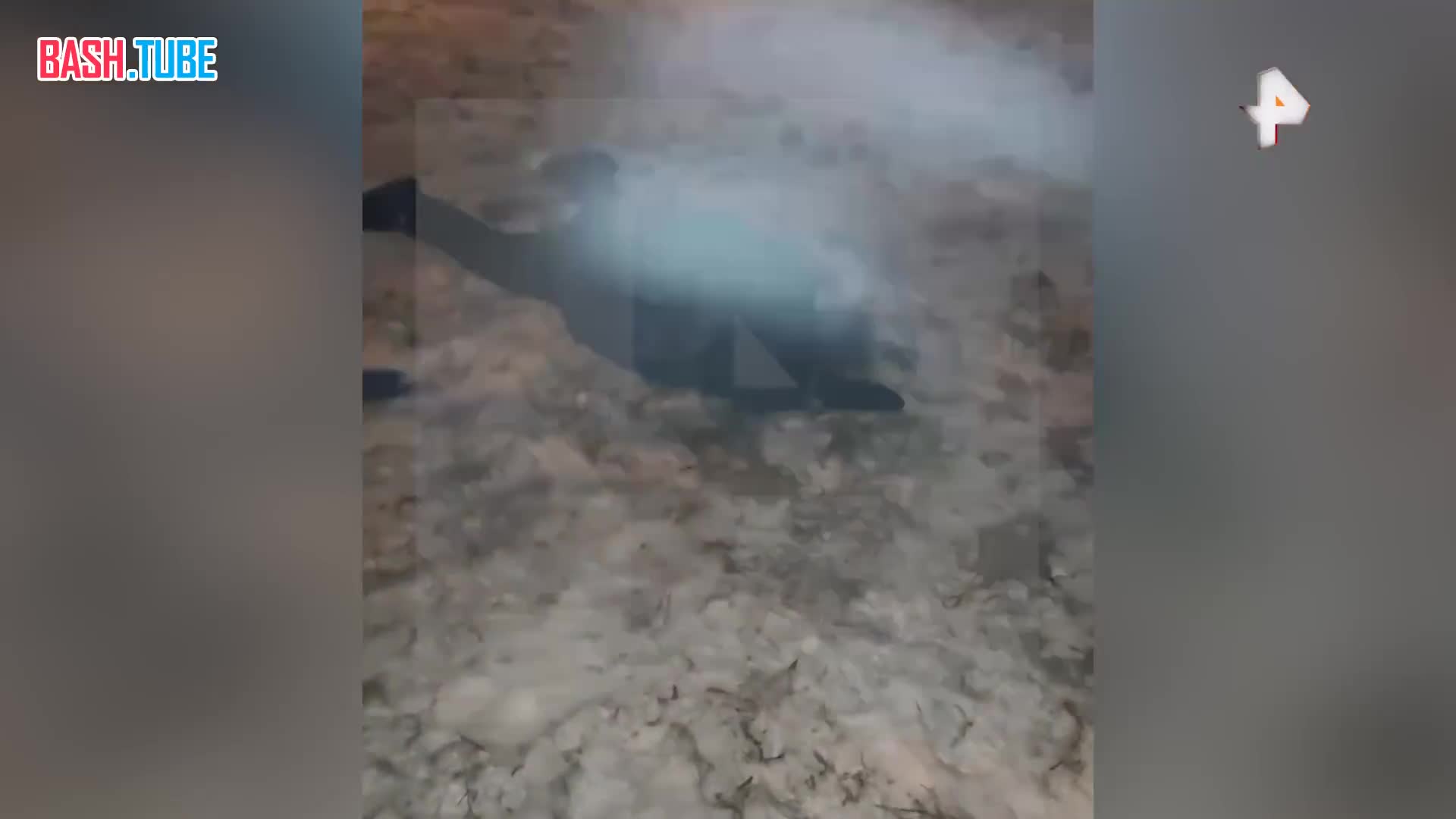  Мужчина набросился на прохожую в московском парке Измайлово, сообщил РЕН ТВ