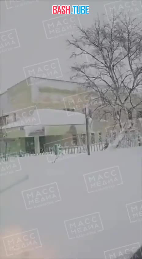  Пока метель бушует, врач в Петропавловске-Камчатском пробирается по пояс в снегу, чтобы доставить кровь в детскую больницу