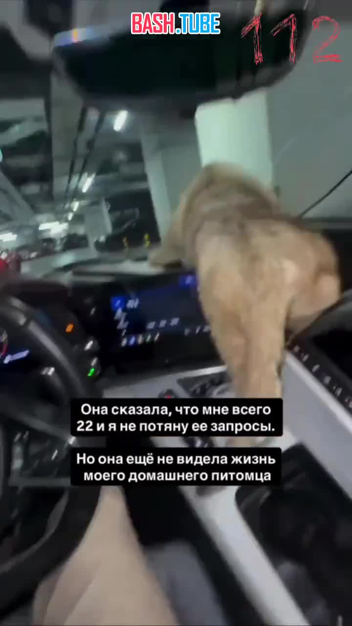  Столичный блогер завел себе дикого льва, который живет в Москва-Сити