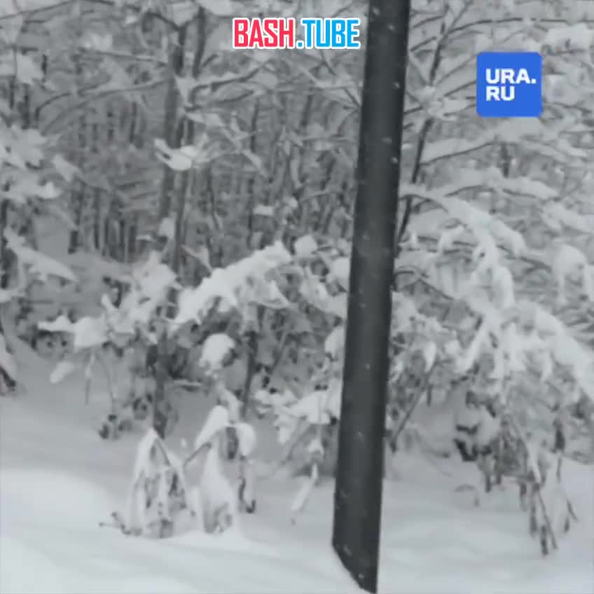  На «Красной Поляне» закрыли трассы из-за опасности схода лавин