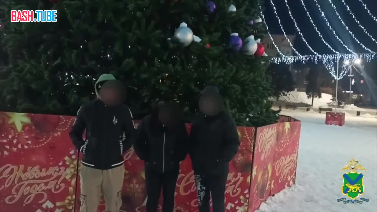  «Не совершайте наших ошибок»: укравшие шары с праздничной ёлки в Партизанске извинились перед жителями города