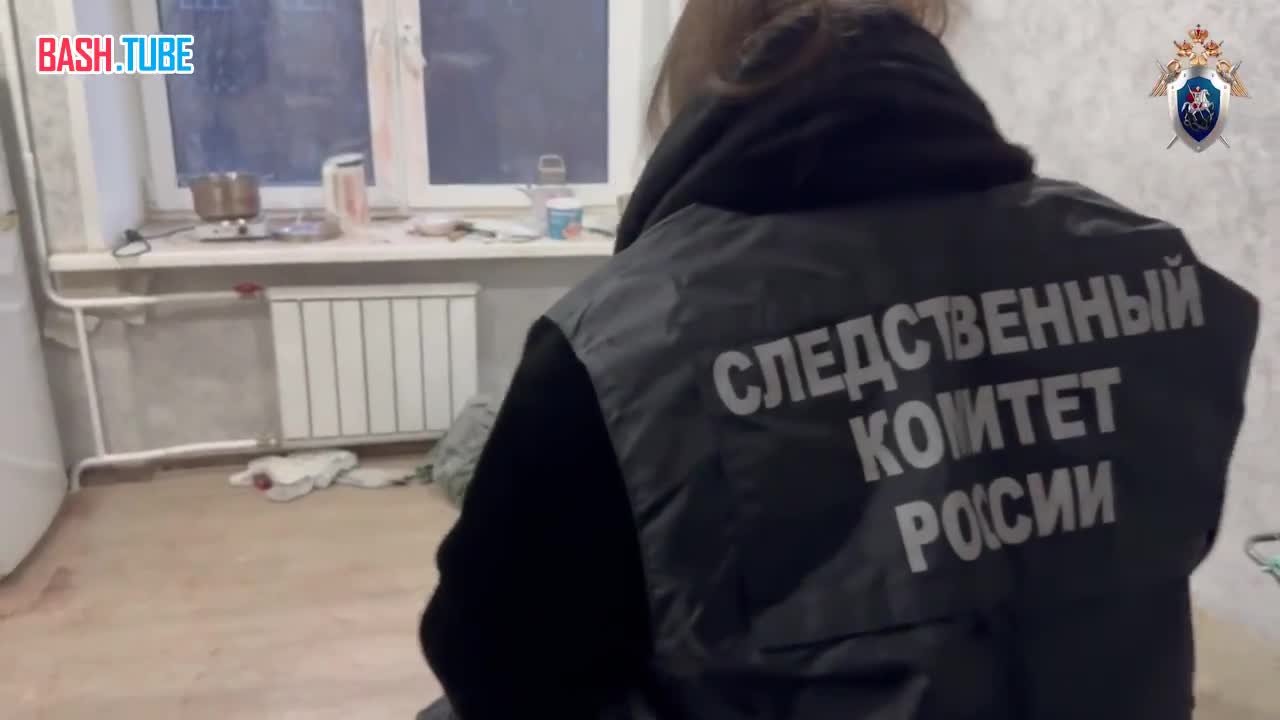  Уголовное дело о халатности завели на органы профилактики из-за смерти мамы с сыном в Красноярске