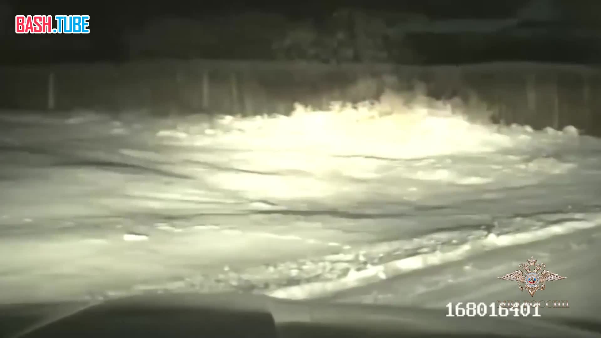  Новорожденного теленка, который заблудился ночью, спасли в Красноярском крае