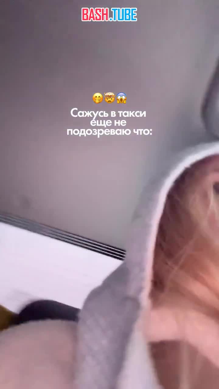  Россиянам в такси начали попадаться обезьяны