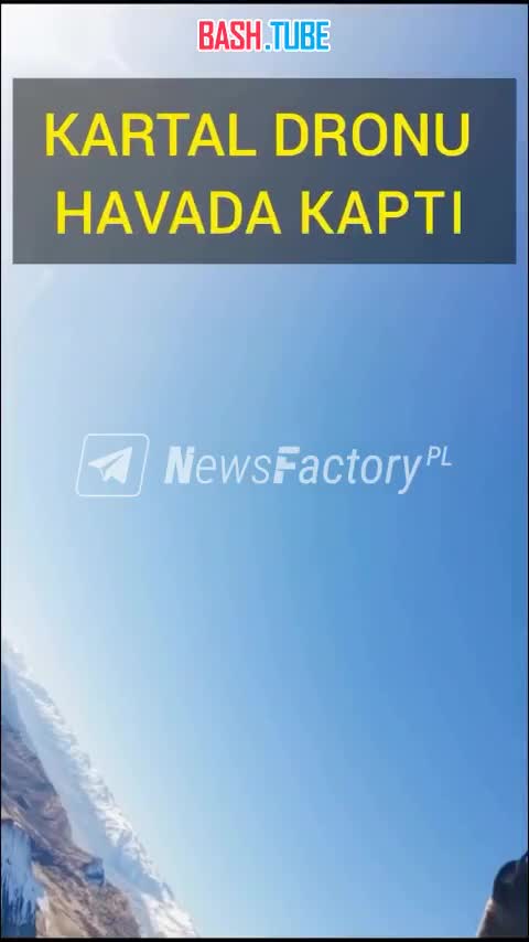  Орёл в полёте украл дрон во время съёмки и сделал селфи