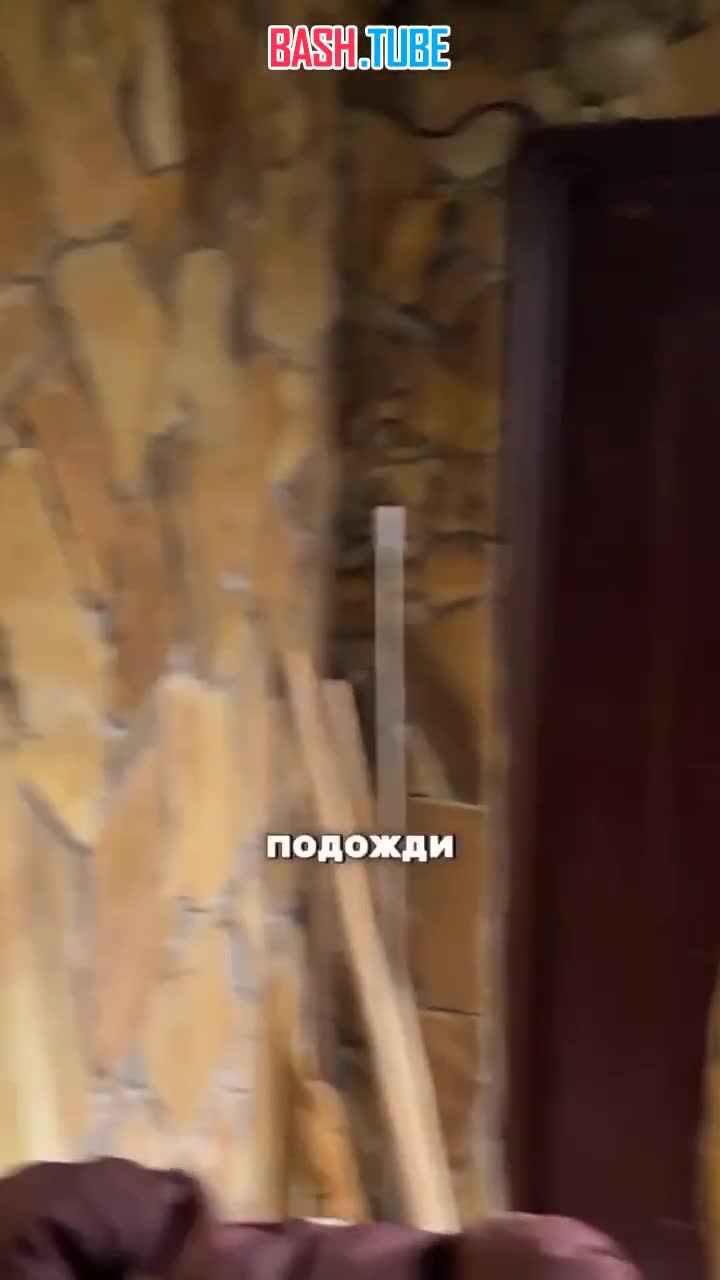  В сафари-парке «Тайган» спасли новорождённую обезьянку, от которой отказалась мать