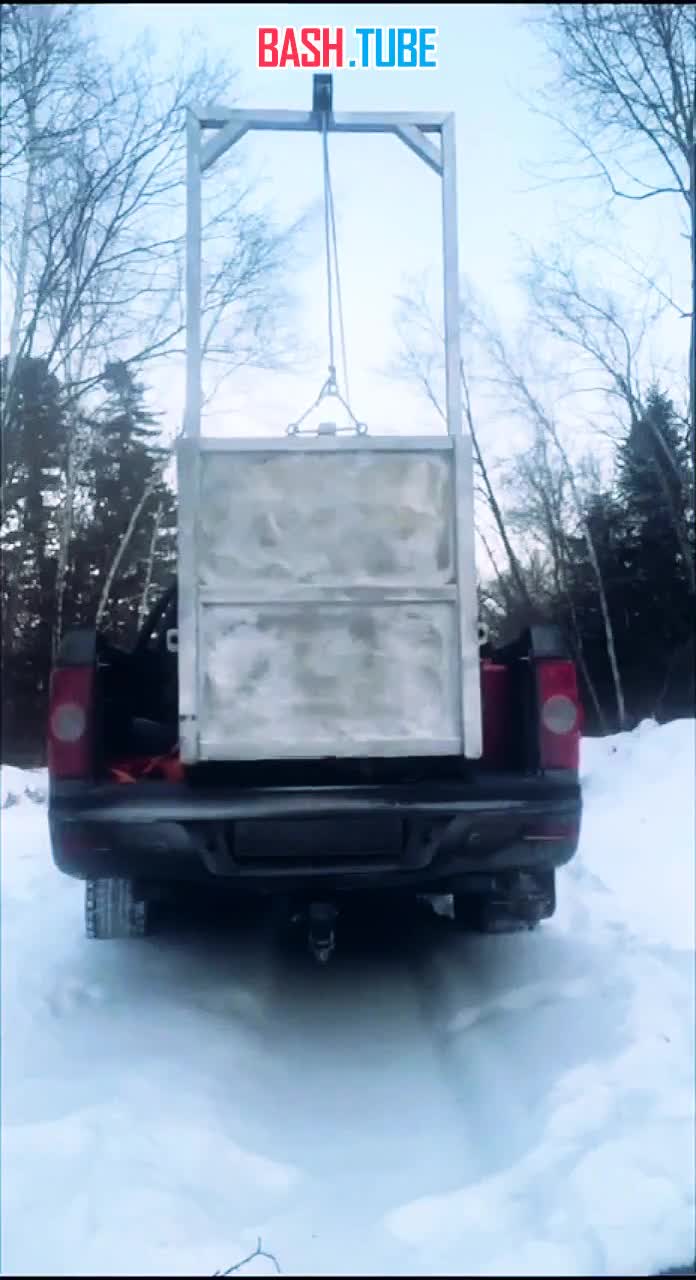  Молодого конфликтного самца амурского тигра, который терроризировал деревню, отвезли в глухую тайгу