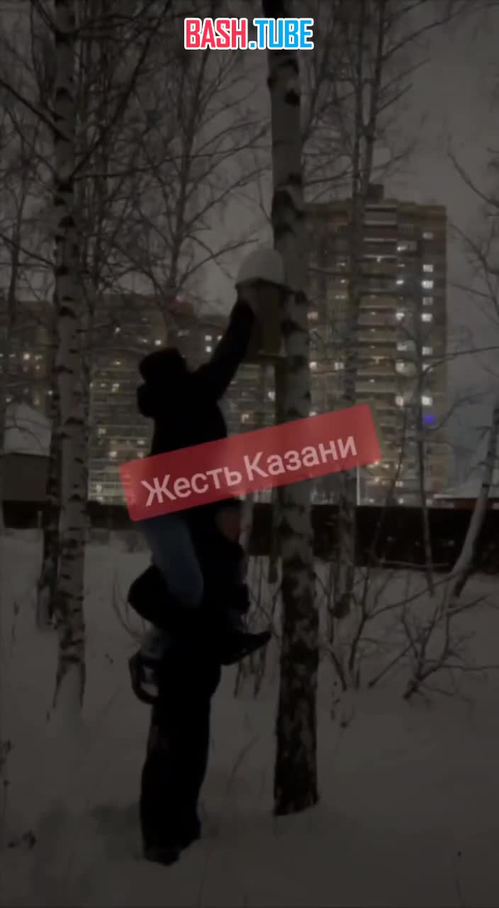  В Казани подростки подорвали скворечник ради забавы