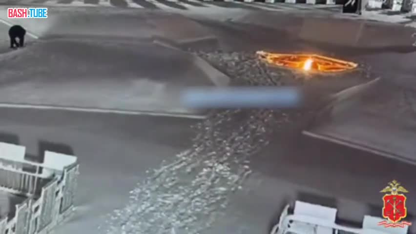  В Ленинградской области задержан вандал, затушивший снегом Вечный огонь на мемориале в Киришах