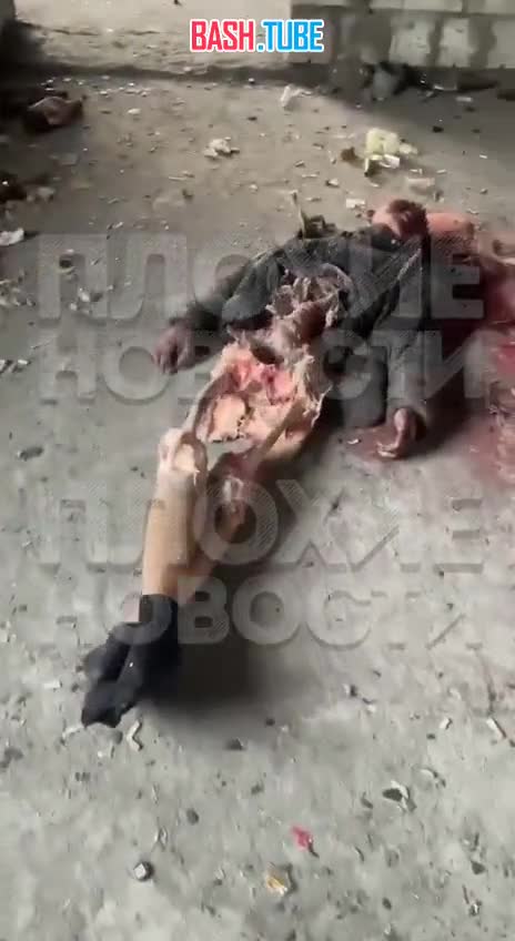  В Тыве молодой человек убил приятеля, размозжив ему голову камнем: брошенный труп обглодали собаки