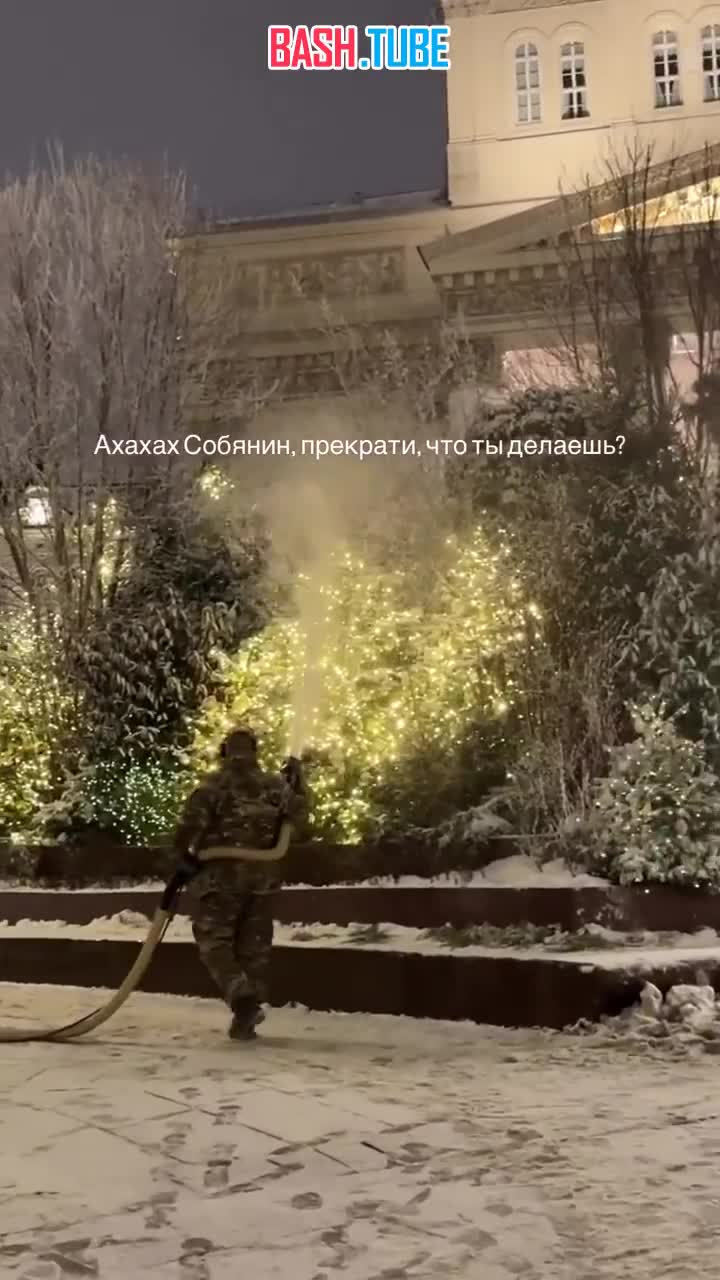  В Москве искусственно украшают деревья снегом