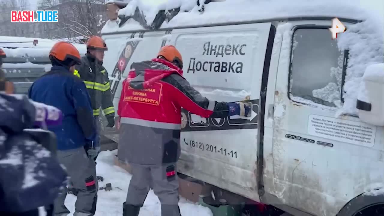  Породистых собак спасли от недобросовестного хозяина, запершего животных в фурах в Санкт-Петербурге