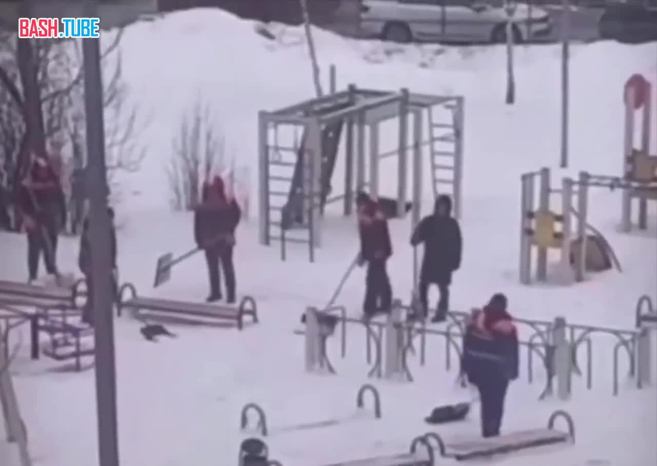  Мигранты из Индии не понимают, как убирать снег, потому что никогда его не видели ранее