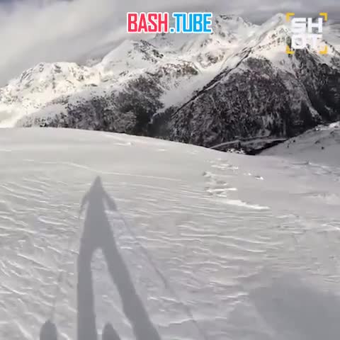  Чемпионка по горнолыжному спорту упала во время спуска вместе со своей собакой и спровоцировала сход сильной лавины