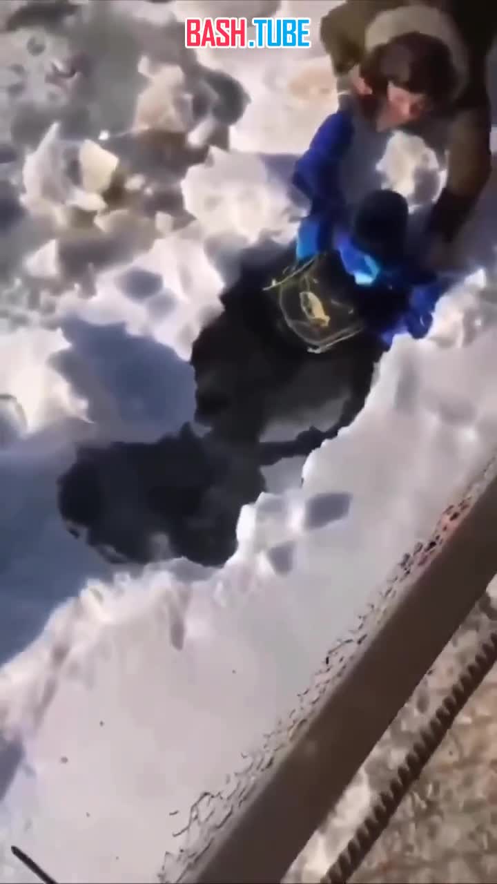  Жительница Пермского края спасла мальчика, провалившегося под лёд