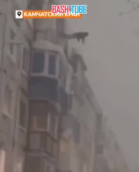  На Камчатке спасатели призвали жителей не прыгать в сугробы из окон