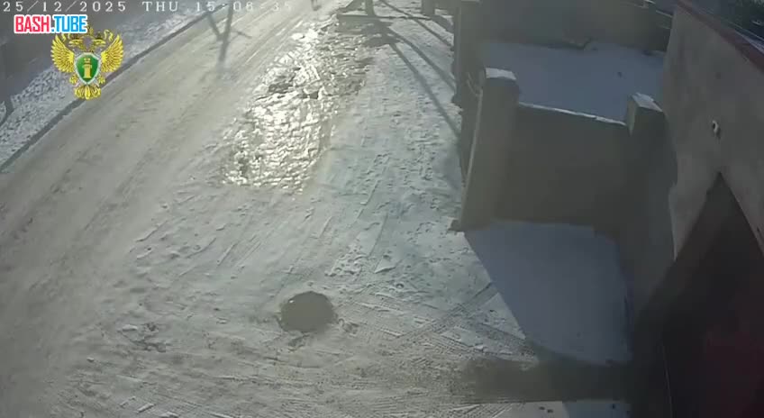  В Приморье живодер застрелил чужую собаку, чтобы съесть ее