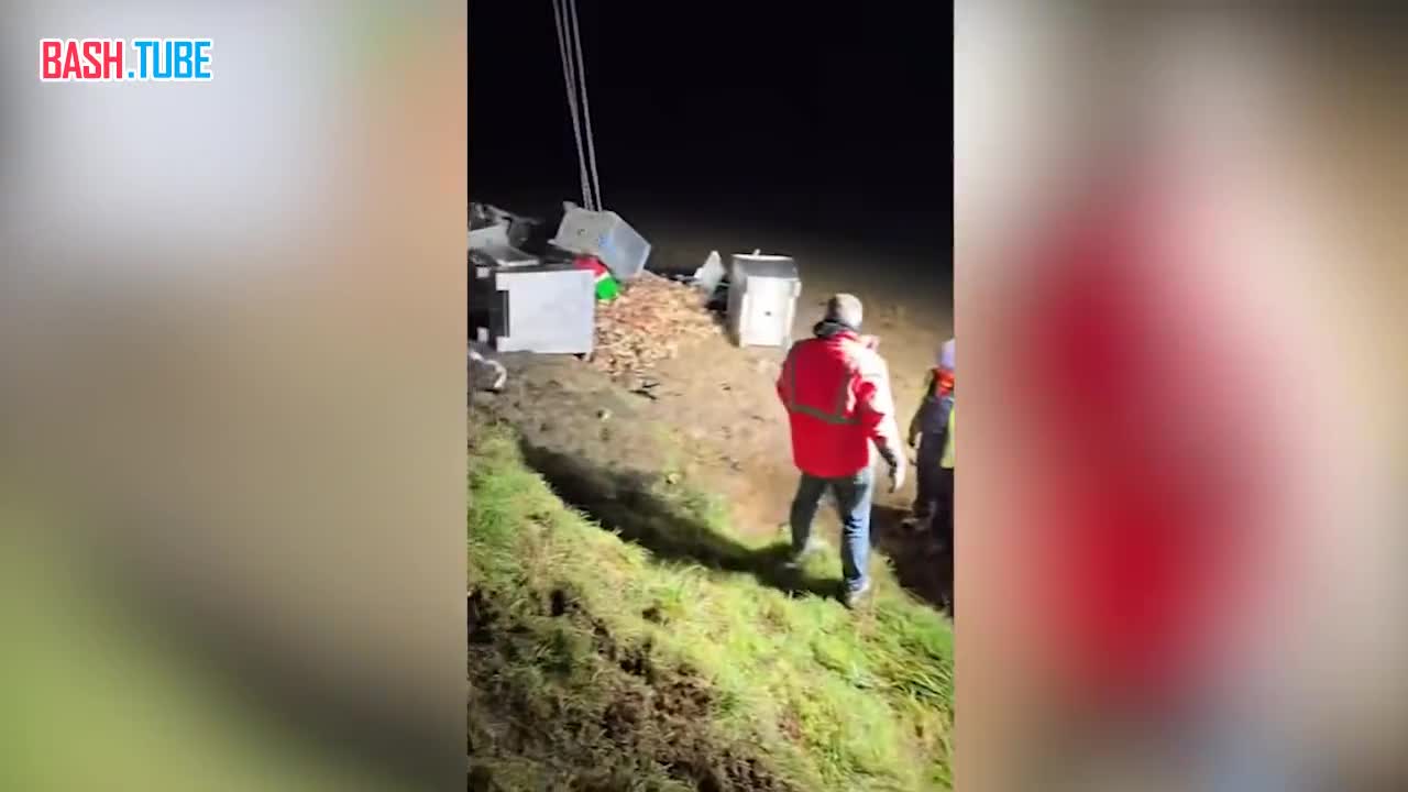  15 тысяч крабов сбежали из перевернувшегося грузовика на севере Ирландии