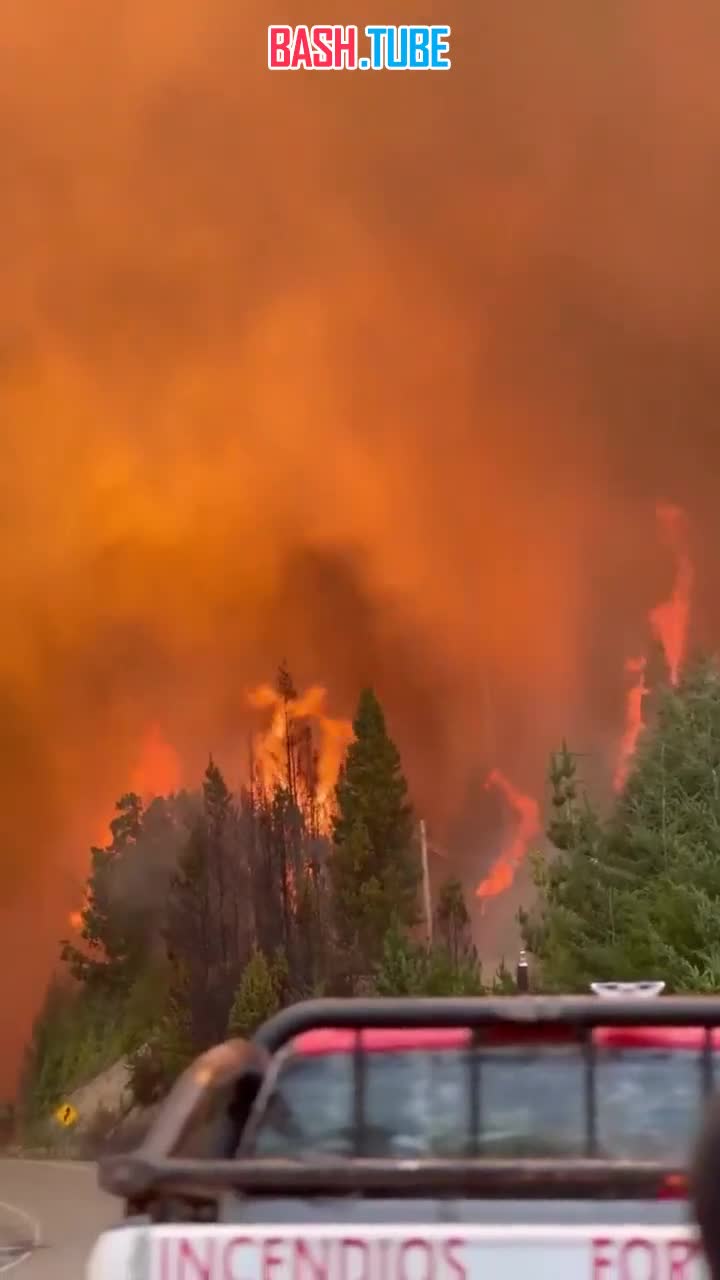  В аргентинской Патагонии сильнейшие лесные пожары продолжаются уже вторую неделю