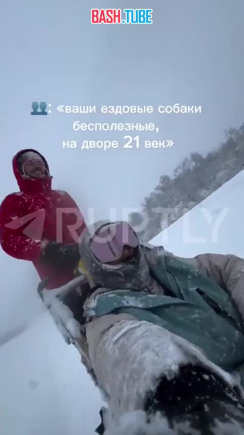  В магазин за хлебом... на собачьей упряжке. Самый актуальный транспорт на дорогах Камчатки