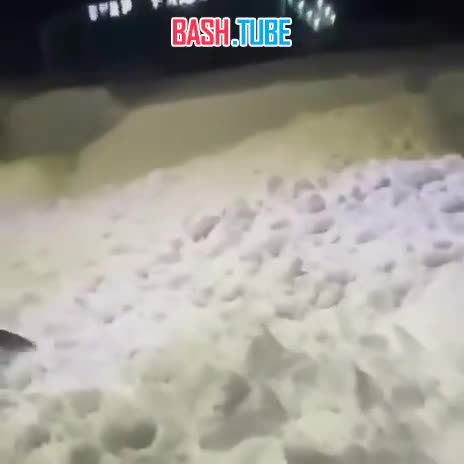  Житель Камчатки откопал автомобиль из пятиметрового сугроба, несколько часов работая лопатой