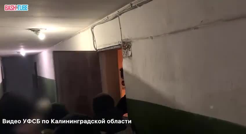  В Калининграде мужчину взяли под стражу за комментарий в Telegram