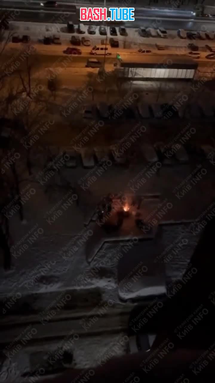  Киевляне греются у костра из выброшенных новогодних ёлок