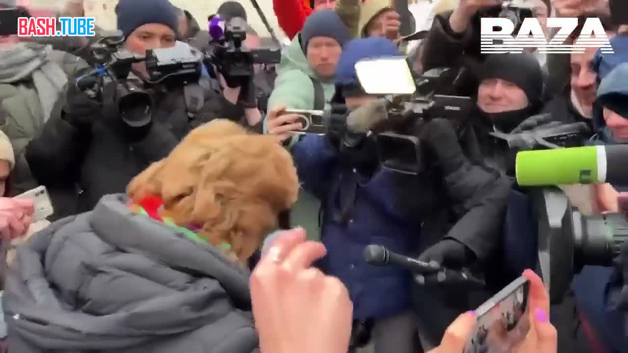  Квартира Долиной в Хамовниках окончательно передана Лурье